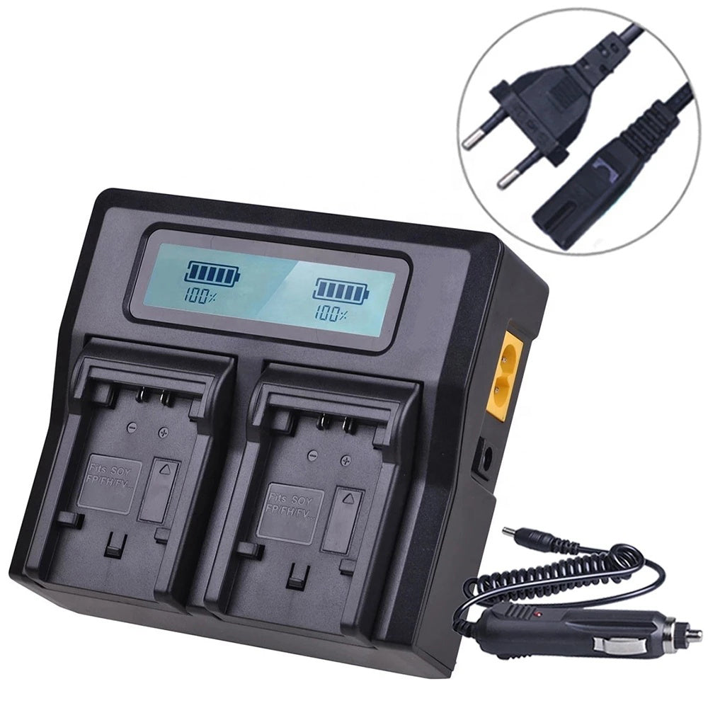 Batmax Charger for NP-FV batteries
